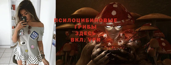 стаф Абдулино