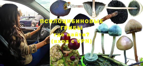 стаф Абдулино