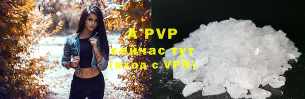 трава Абаза