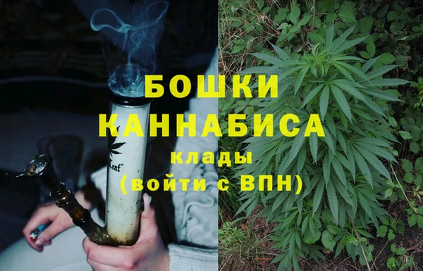 трава Абаза